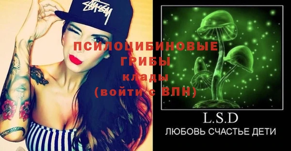 прущий лед Протвино